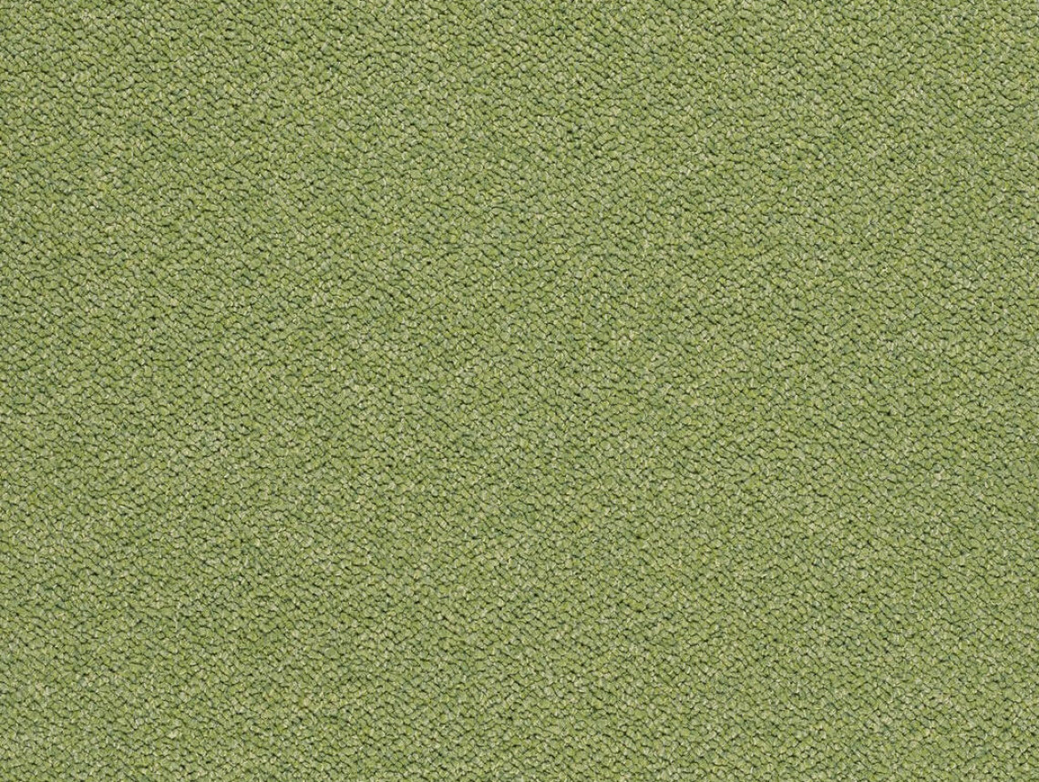 Tessera Chroma - 3617 botanical